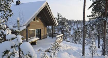 Modern holiday chalet in the Nissedal am Havrefjell, WLAN, canoe, sauna, barbecue, bathing lake
