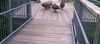 Just go on vacation. Vacation apartment 2-4 pers. 65sqm, terrace, 2 bedrooms. W-lan