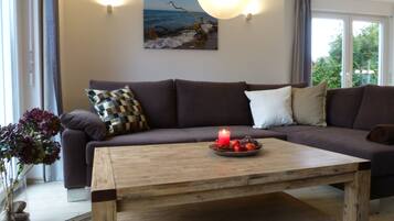 TV, fireplace, DVD player, books