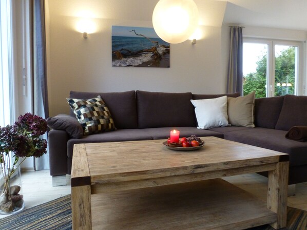 Televisión, chimenea, reproductor de DVD y libros 