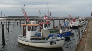 Un porto turistico con diverse imbarcazioni ormeggiate.