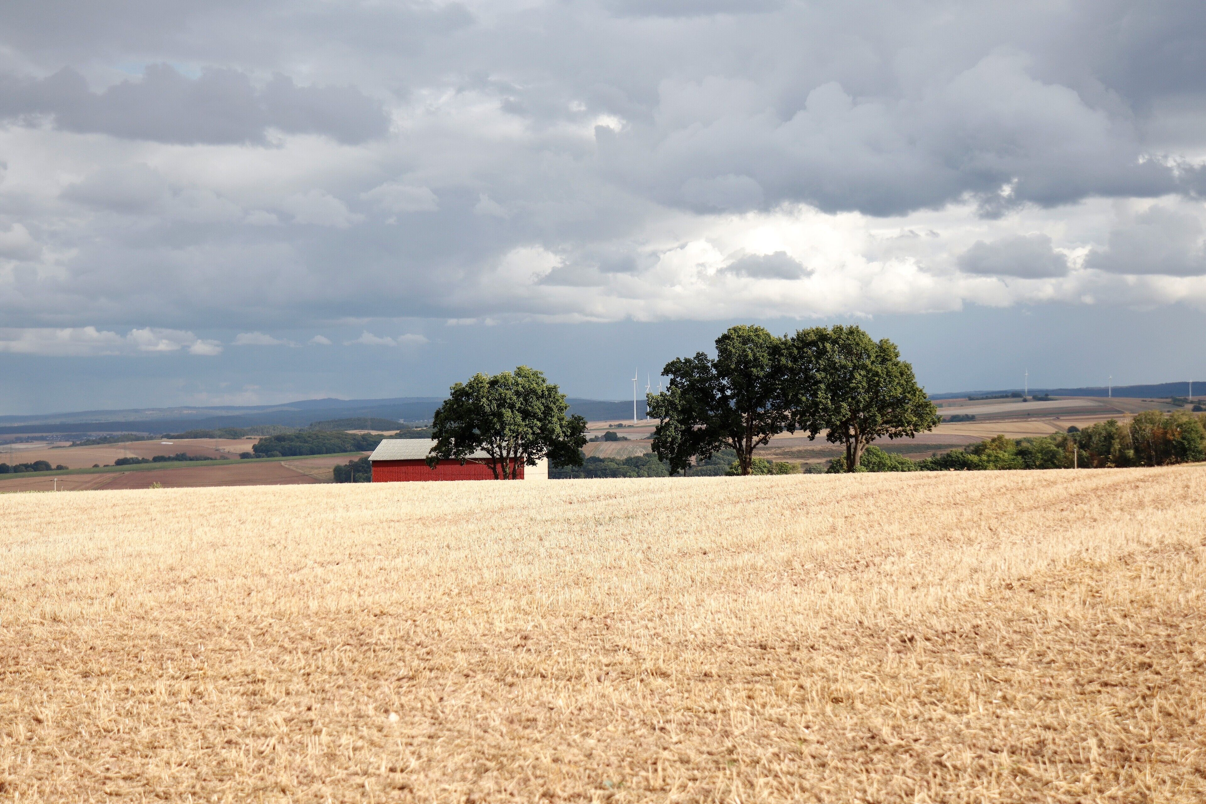 Paisaje rural con un campo, un granero rojo y dos árboles grandes.