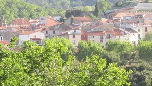 A town with red-tiled rooftops, a prominent tower, and lush greenery in the foreground. - Cosy studio 2 pers.,  parking,  2 terraces,  wifi (Laroque-Des-Albères)