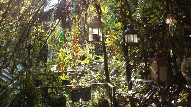 A lush garden with hanging lanterns and potted plants. - Apartment with flair, quiet location, large garden directly at forest / meadow, large swimming lake at 2km, (Blankenheim-Reetz)