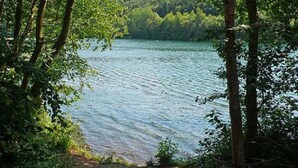 A serene lake surrounded by dense forest. - Apartment with flair, quiet location, large garden directly at forest / meadow, large swimming lake at 2km, (Blankenheim-Reetz)