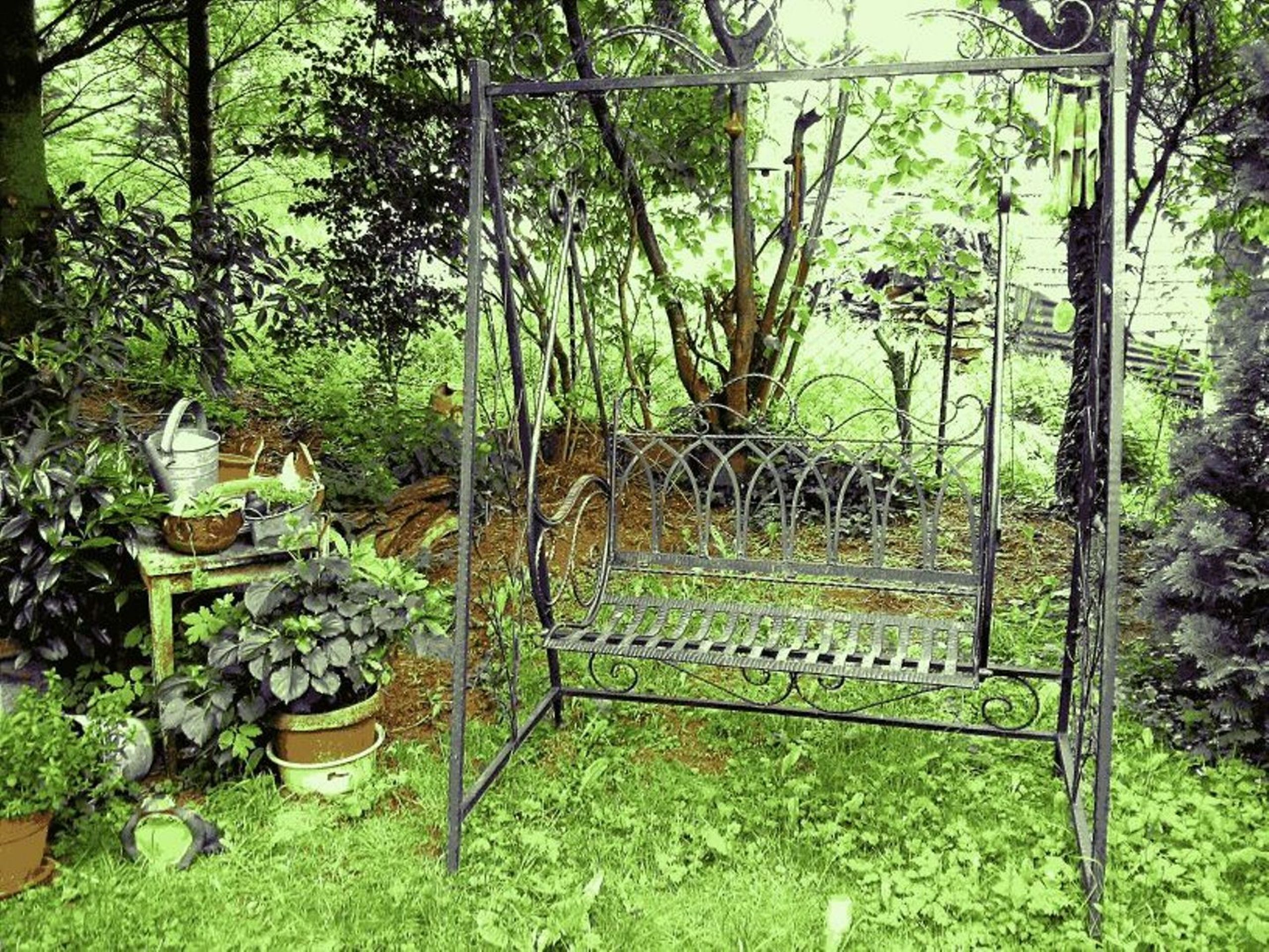 Ein Garten mit einer Metallbank, umgeben von Blumentöpfen und Grünpflanzen.