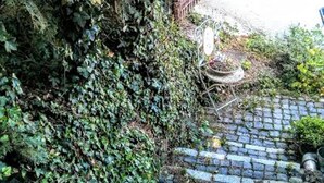 A stone staircase surrounded by dense foliage. - Apartment with flair, quiet location, large garden directly at forest / meadow, large swimming lake at 2km, (Blankenheim-Reetz)