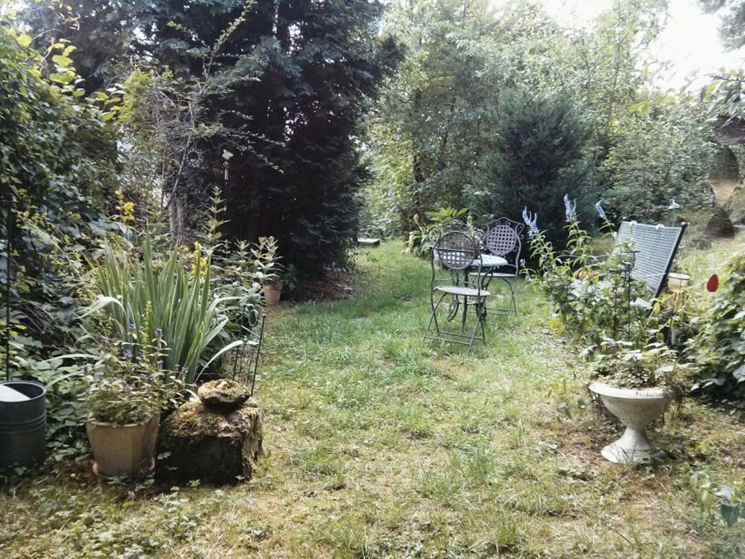 Un jardin avec une table et des chaises en métal, entouré de différentes plantes et arbres.