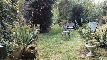Un jardin avec une table et des chaises en métal, entouré de différentes plantes et arbres.