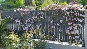 A garden with a wooden fence covered in pink flowers. - Gîte de la Bézardais for 4 people in Dinan, Brittany, France. (Quévert)