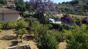 Ein Wohngebiet mit einem Haus, einem Baum mit violetten Blüten und einem umzäunten Garten.