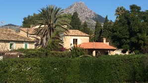 Ein traditionelles Gebäude mit Ziegeldach, umgeben von üppiger Vegetation und einem Berg im Hintergrund.