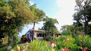 Une maison de campagne entourée d’une végétation luxuriante et de plantes en fleurs.