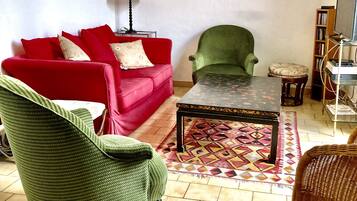 Télévision, cheminée, lecteur de DVD, livres