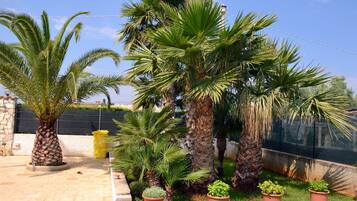 Parco della struttura