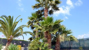 A palm tree with a yellow planter and purple flowers in a garden setting.