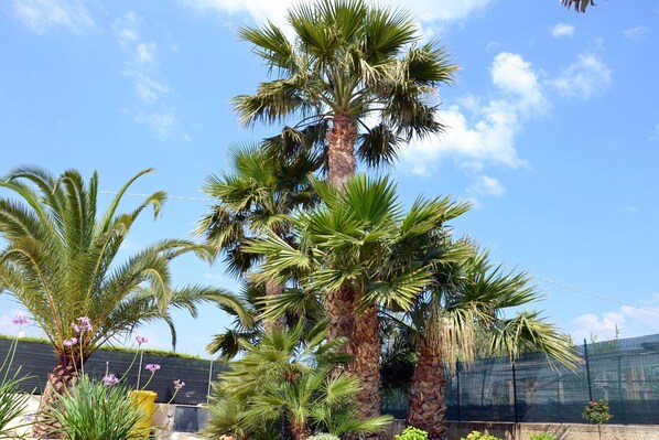 A palm tree with a yellow planter and purple flowers in a garden setting.