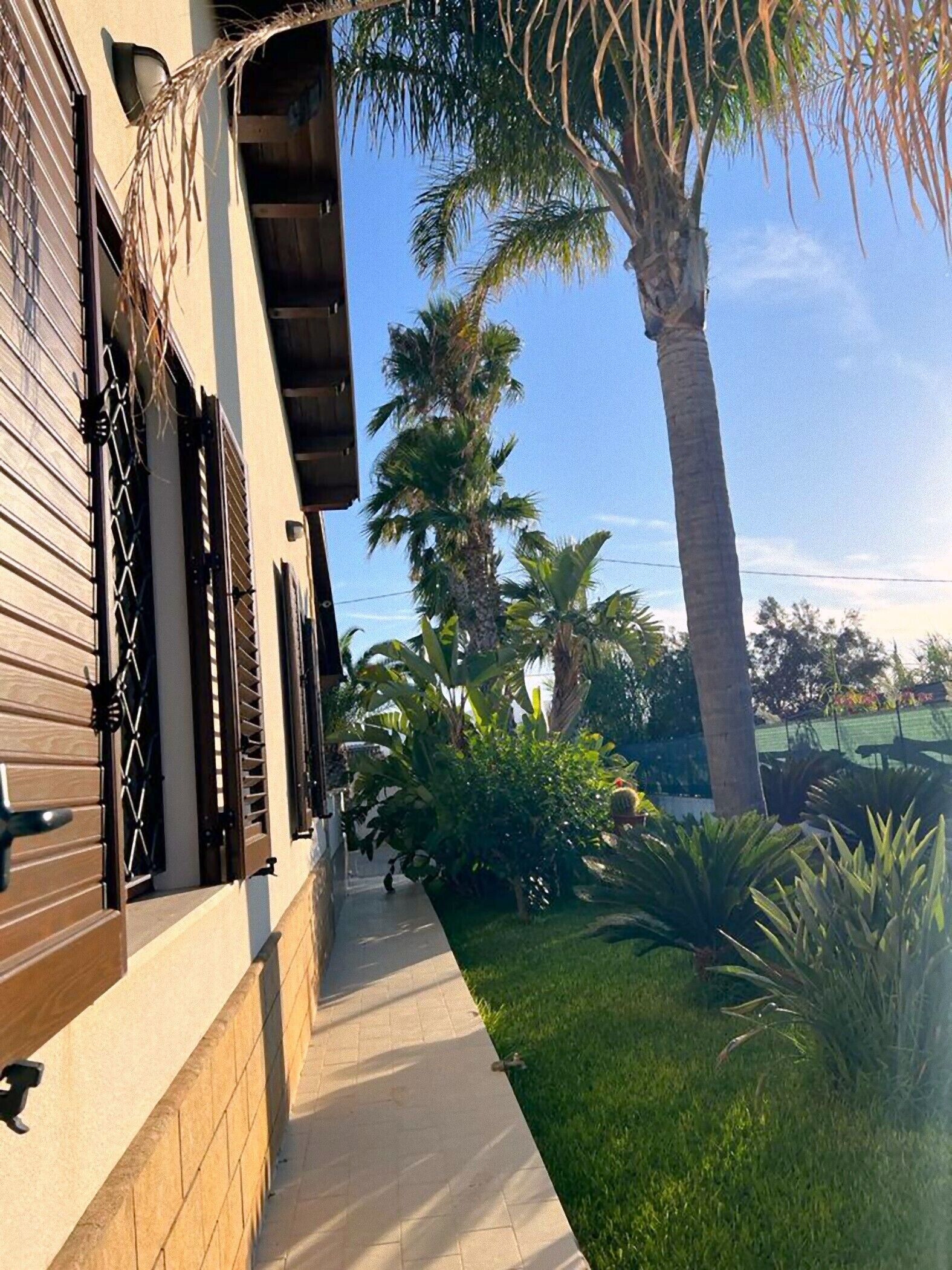 A building with a covered outdoor area, palm trees, and a pathway.