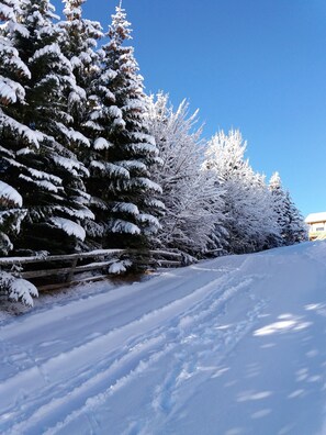 Paesaggio innevato con alberi e una recinzione in legno.