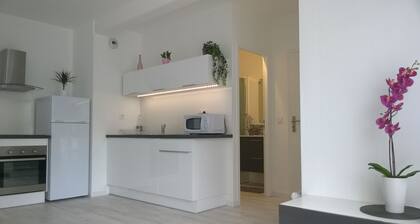 Nuevo! Apartamento nuevo y acogedor entre Burdeos y el océano!