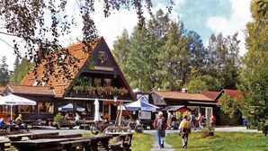 Eksteriør