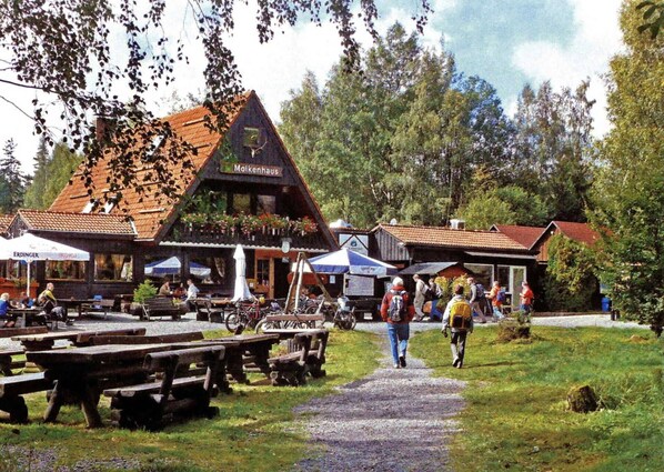 Situated amidst lush greenery, Molkenhaus offers outdoor seating with tables and benches.