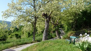 Ulkoalueet