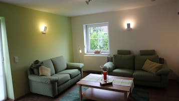 电视、DVD 播放器、书、影片库