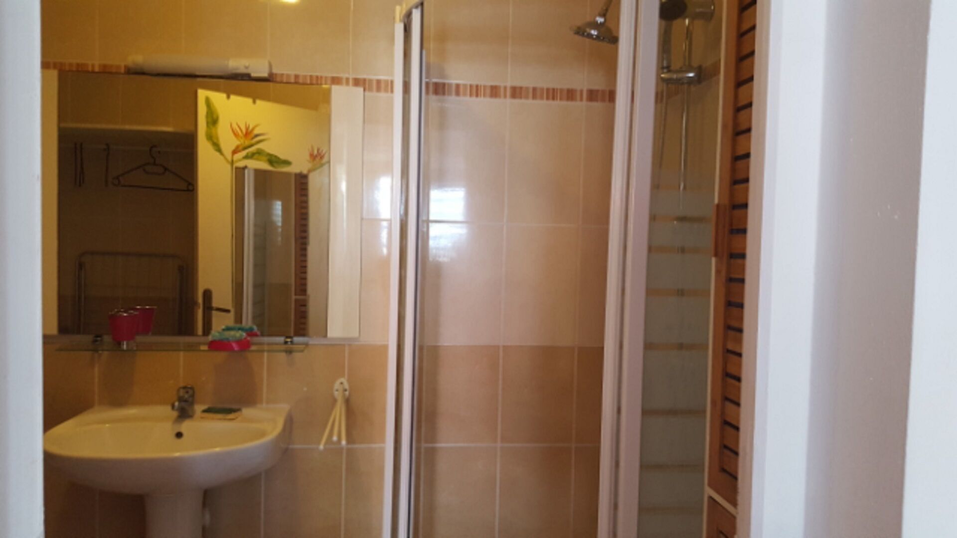 Hair dryer, towels, shampoo