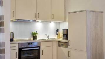 Fridge, oven, stovetop, dishwasher