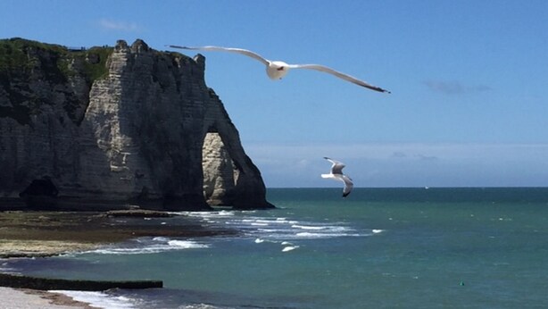 A coastal scene with a large rock formation and the ocean. - BEAUTIFUL APARTMENT 2 STEPS FROM THE BEACH / NEAR TO THE BEACH! (Étretat)