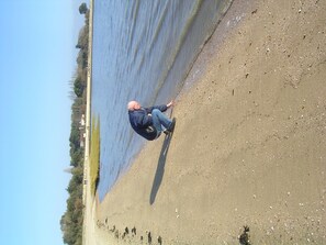 Strand