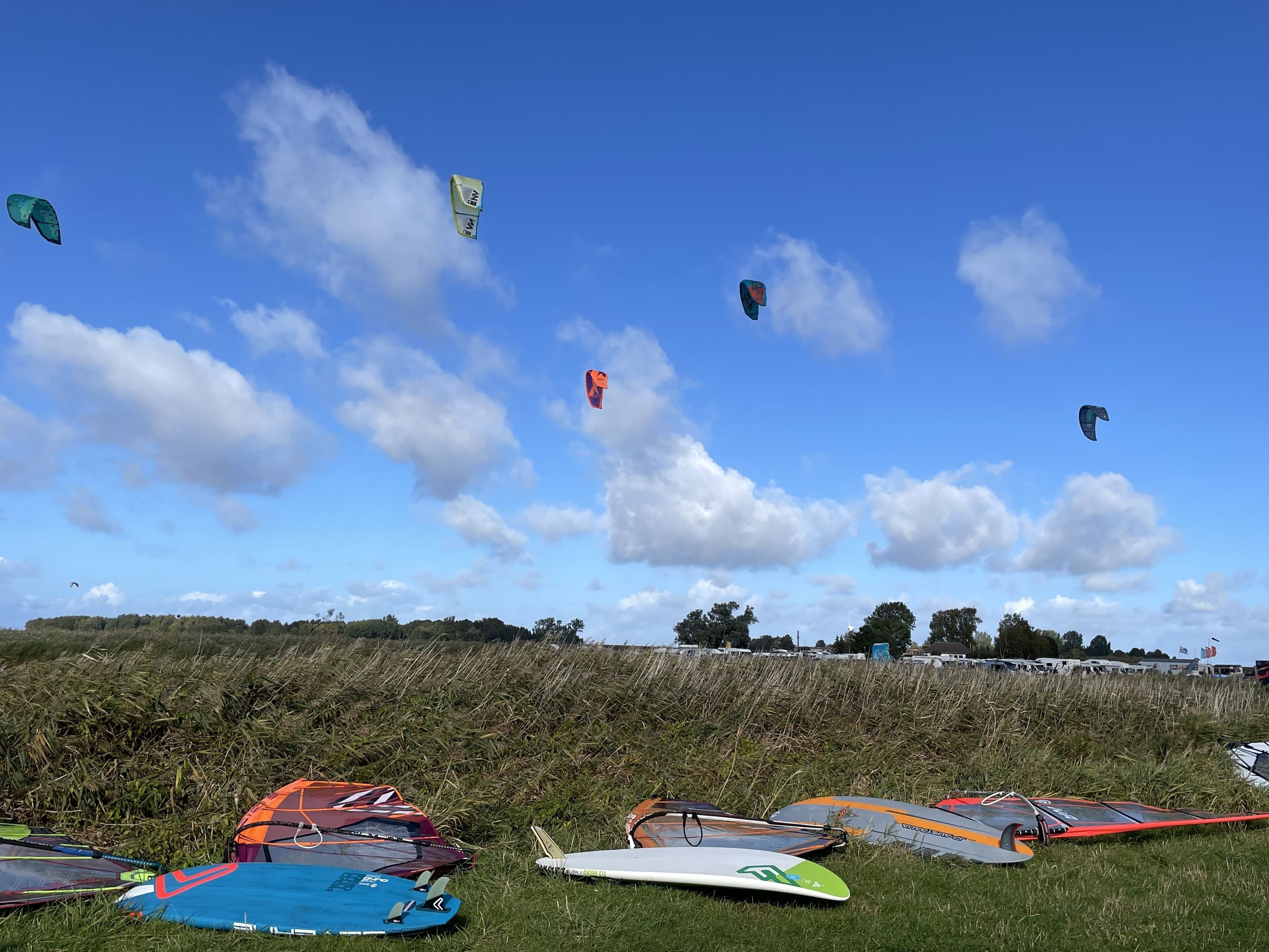 A grassy field with several kites and windsurfing boards.