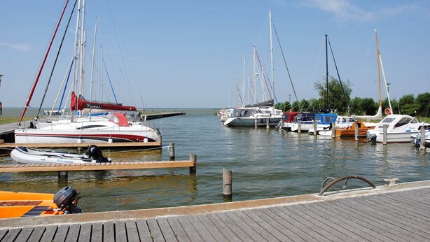 Ein Yachthafen mit verschiedenen Segelbooten, die dort festgemacht sind.