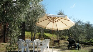 Un espace extérieur aménagé avec une table et des chaises, protégé par un grand parasol et entouré d’oliviers.