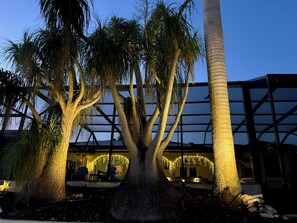 Un grand arbre se dresse devant un immeuble à la façade en verre, avec un espace extérieur aménagé pour s’asseoir.