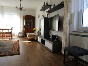TV, DVD player, books, music library