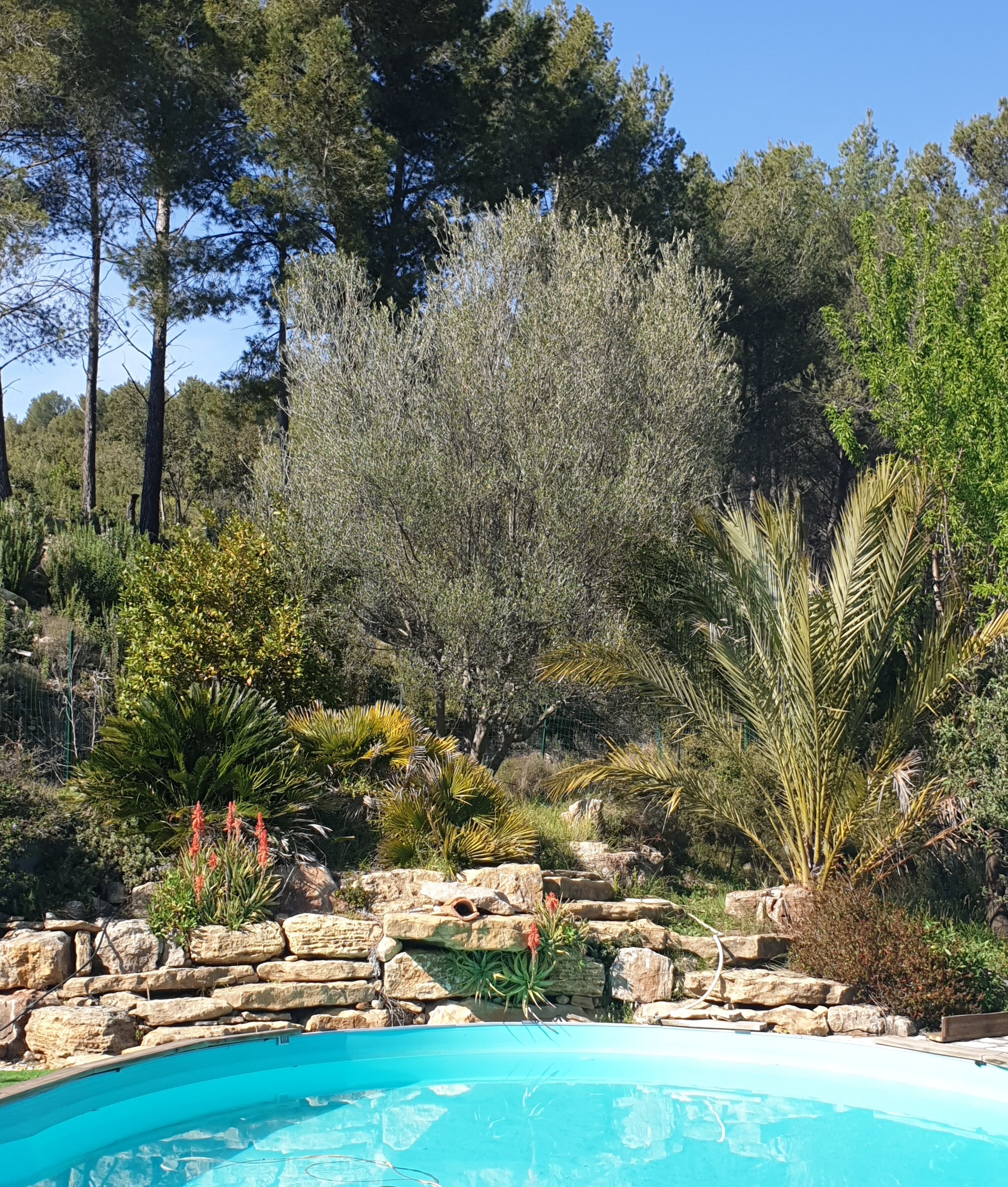 Een buitenzwembad, een verwarmd zwembad