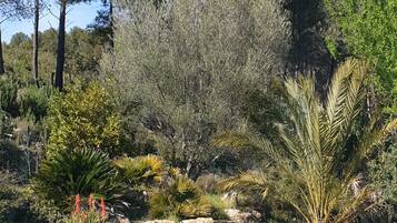 Een buitenzwembad, een verwarmd zwembad