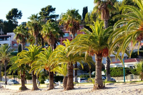 Gite in Mas Provençal, private heated pool, spa, absolute calm