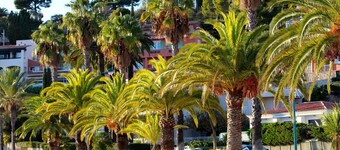 Gite in Mas Provençal, private heated pool, spa, absolute calm