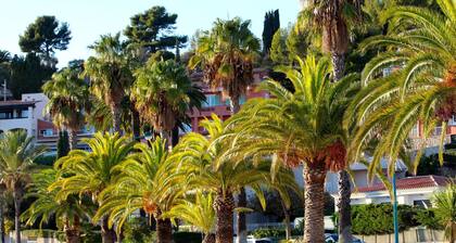 Gite in Mas Provençal, private heated pool, spa, absolute calm