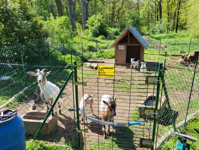 6 casas de campo perfecto para reuniones familiares, cerca de la Spreewald.
