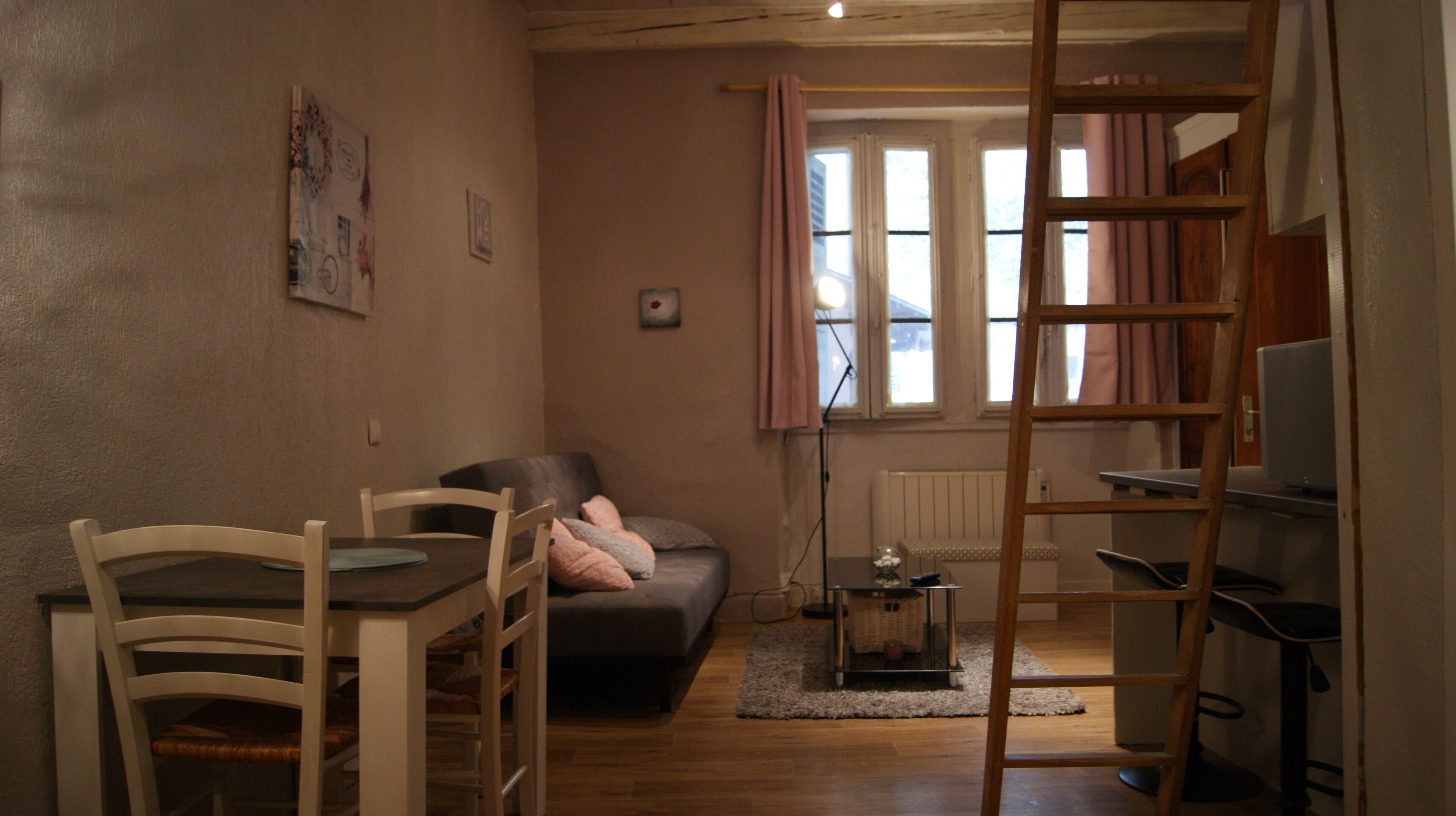 A cozy living room with a sofa, a dining table with chairs, a TV, and a ladder.