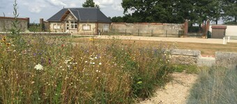 Charming "Potager 2" bungalow in Sologne in a relaxing forest setting