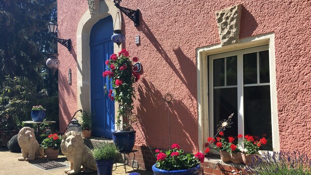 A building with a blue door, potted plants, and a window.