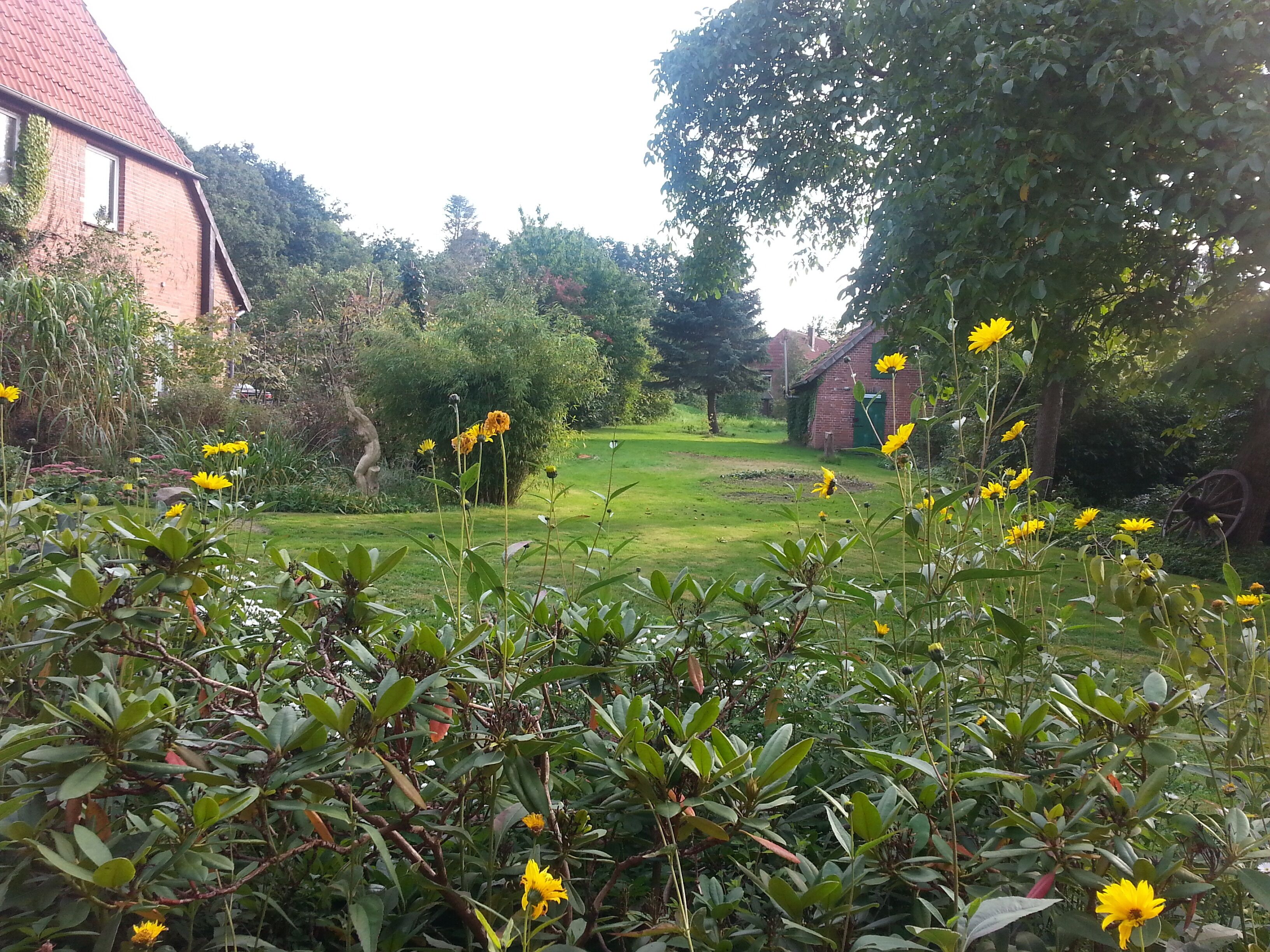A garden with a lawn, yellow flowers, and a brick building in the background.