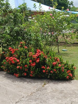 Overnattingsstedets uteområder