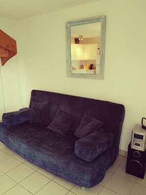 TV, books, stereo - Holiday house, located area of ​​the pines in Stella Plages, near Le Touquet (Cucq)