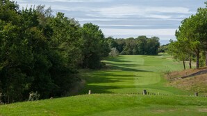 Um campo de golfe com um green bem cuidado, árvores e um céu claro.